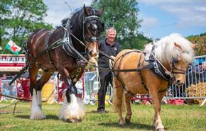 Bridgend Country Show